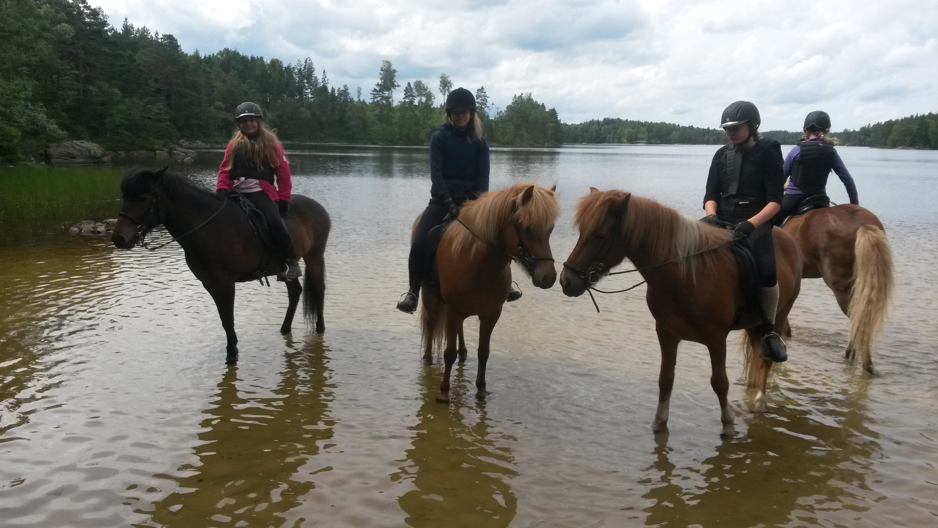 Ridläger, Kurser och andra aktiviteter