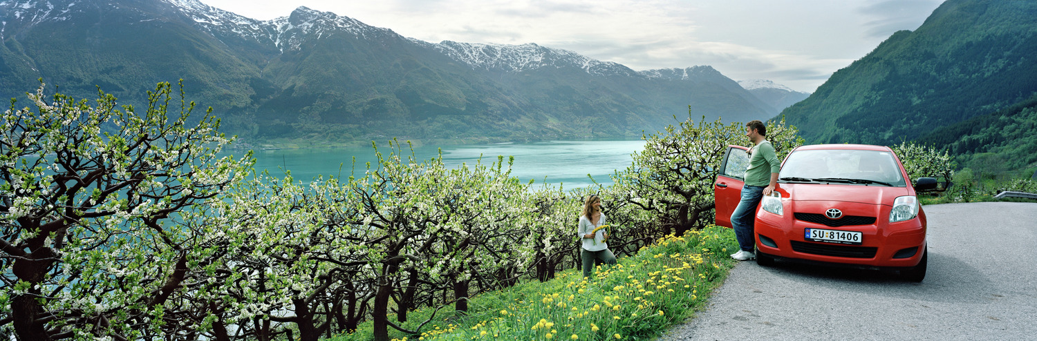 Blomstring i Hardangerfjorden