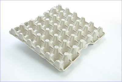 Paper Pulp Egg Tray - EPPOR-PACK SDN. BHD.