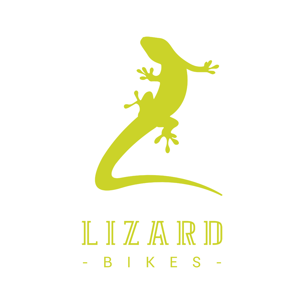 green lizard bikes