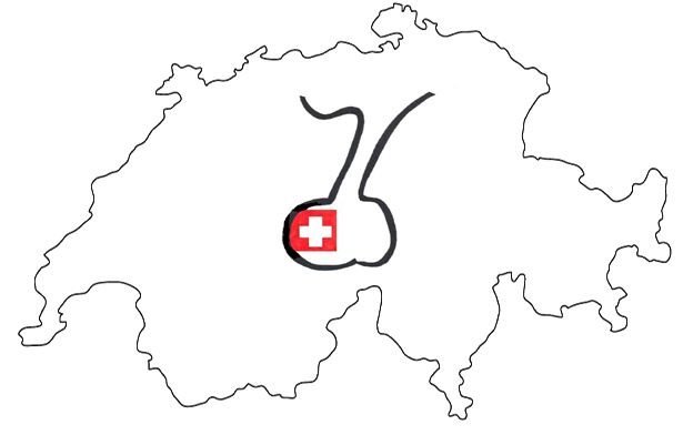 SwissPit - The Swiss Pituitary Registry