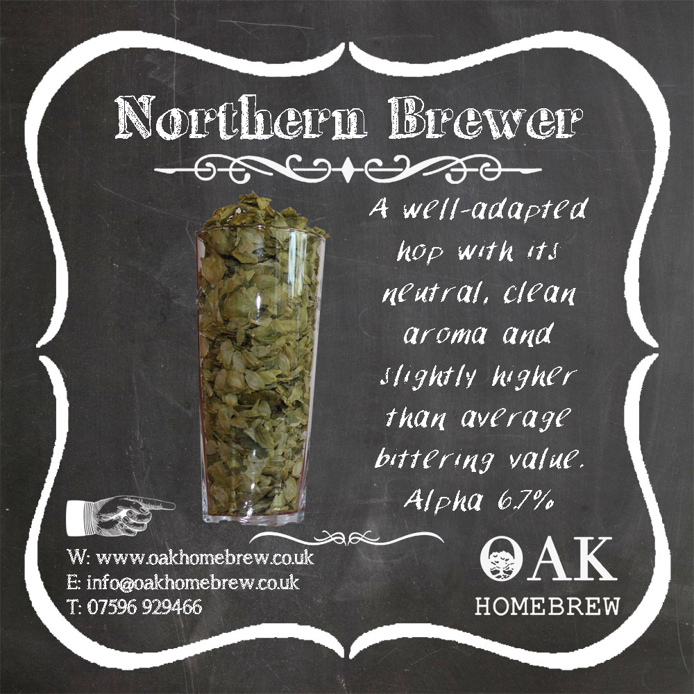 Northern Brewer Hops