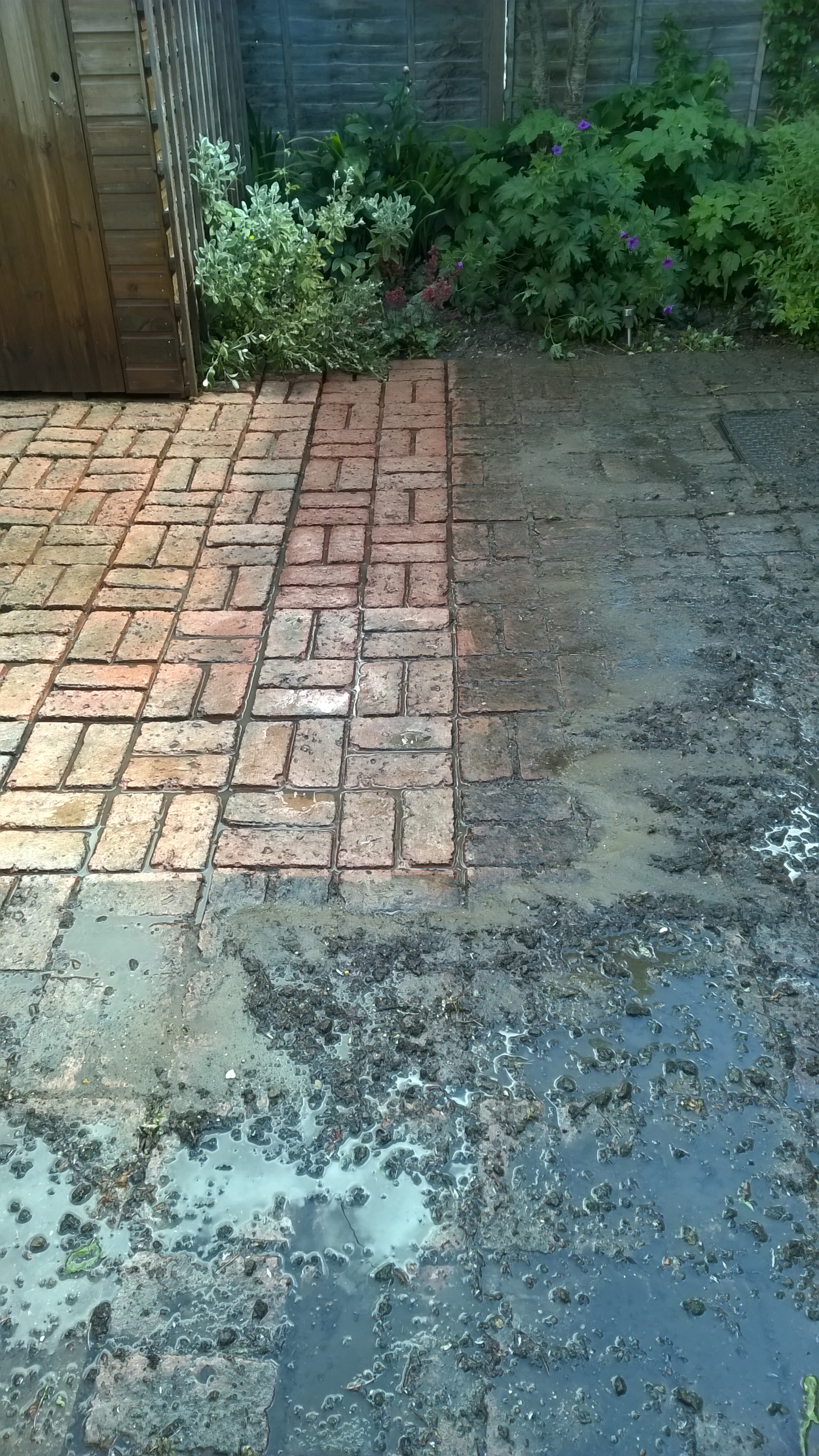 Power wash and softwash treatment to block work paving on a domestic property in Ely, Cambridgeshire