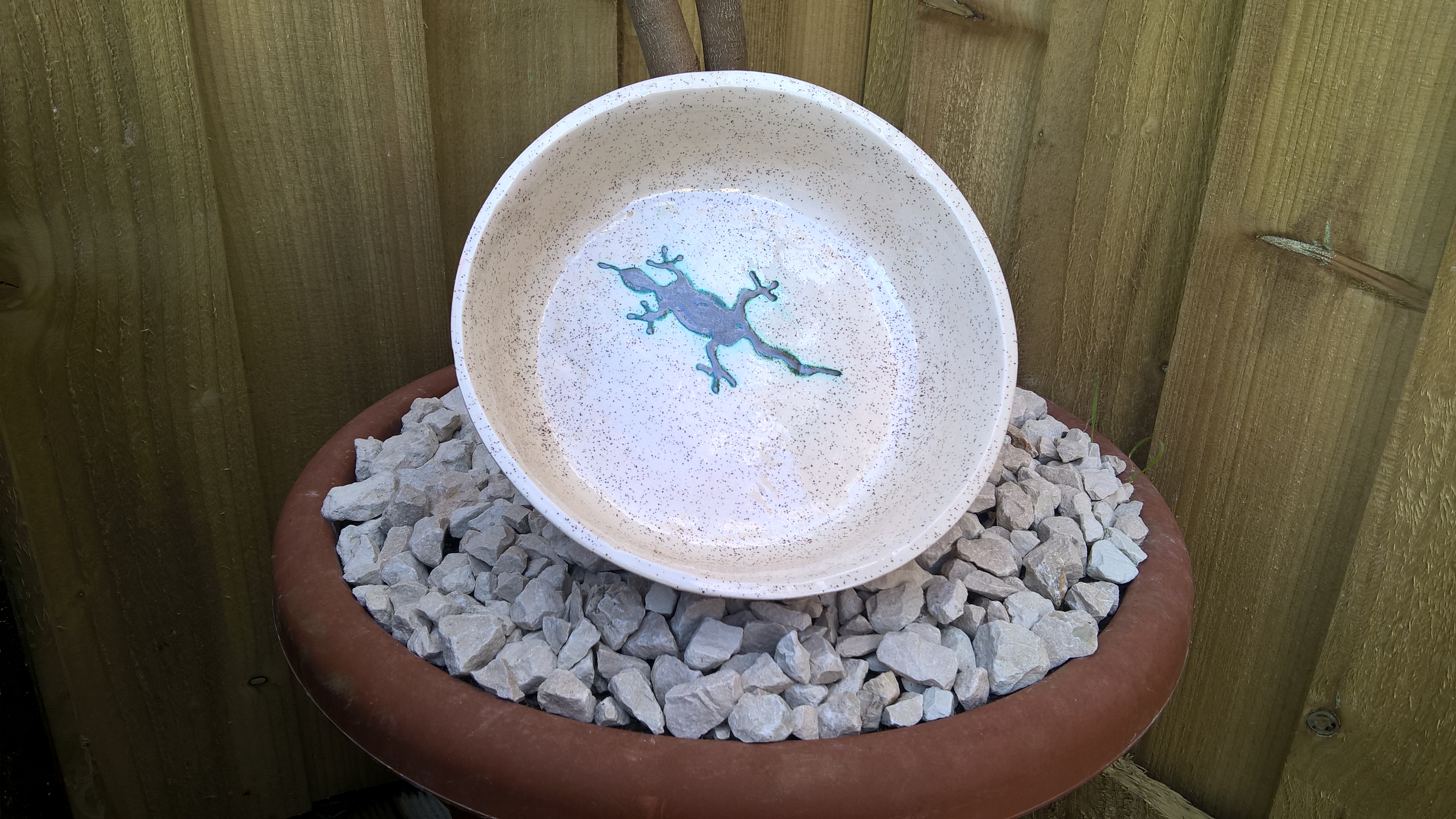 Gecko Bowl/dish