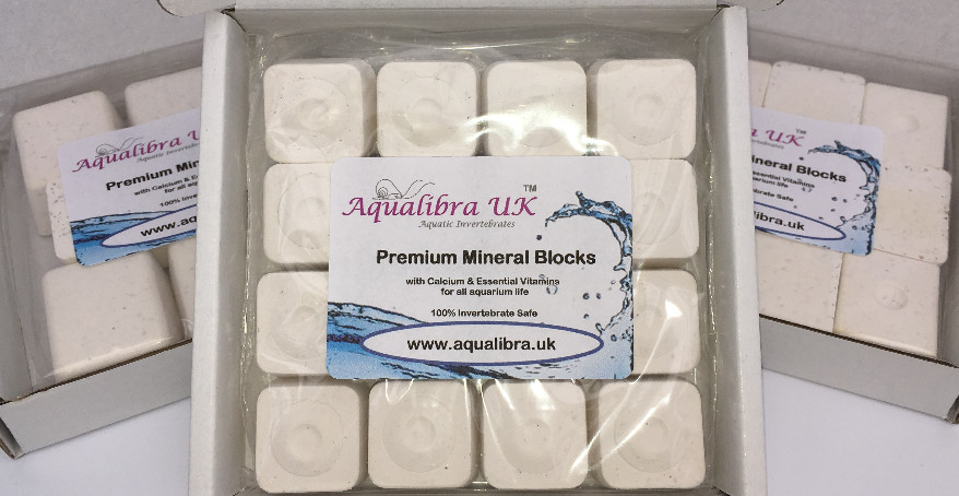 Premium Mineral Blocks