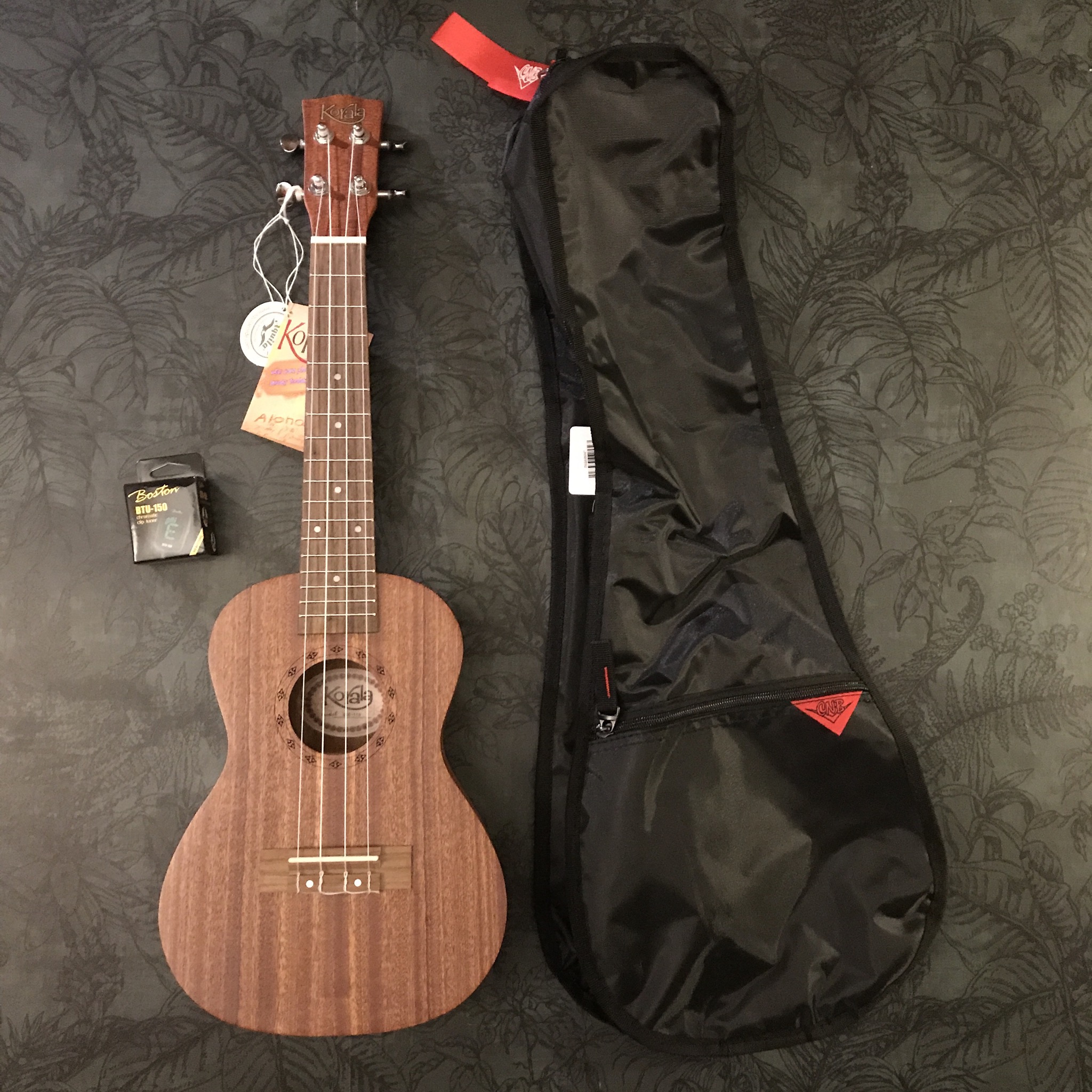 start-set ukulele beginner starter