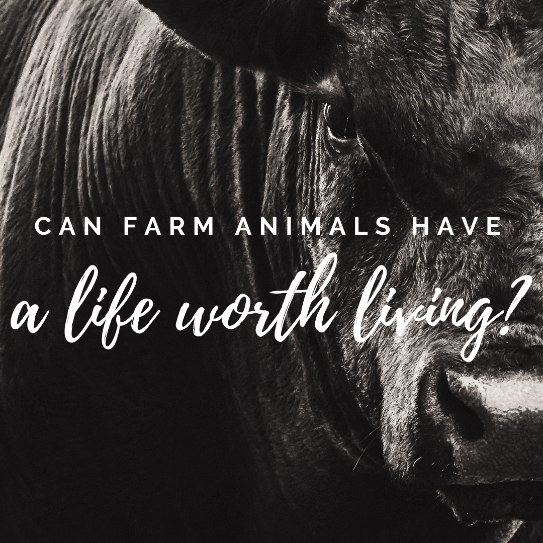 Can Farm Animals Have A Life Worth Living?