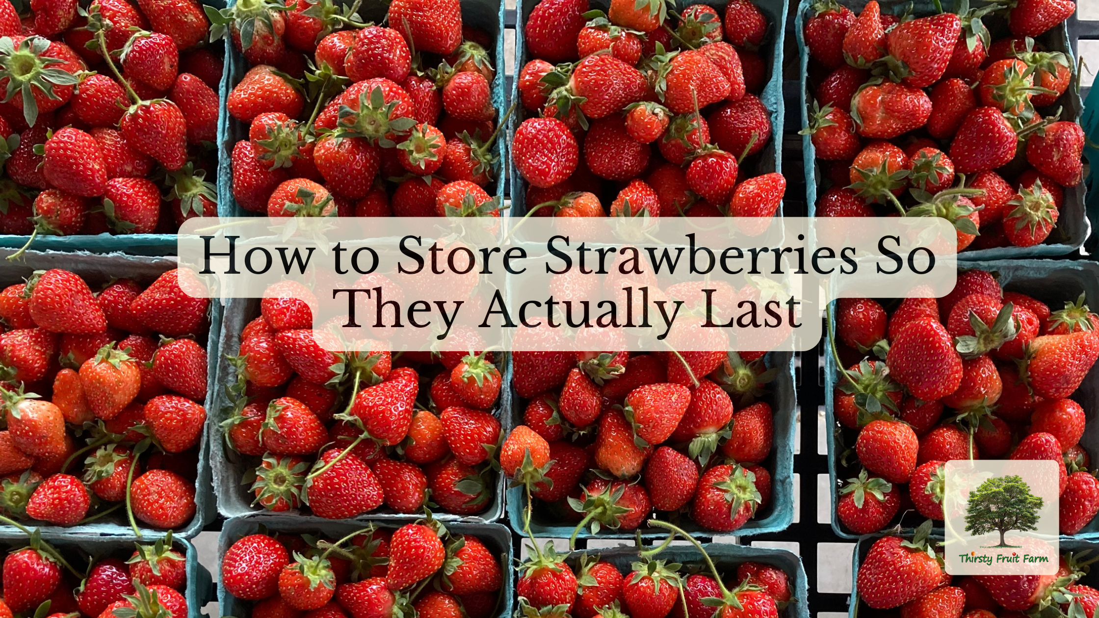 Strawberries In Store How to Store Strawberries So They Actually Last