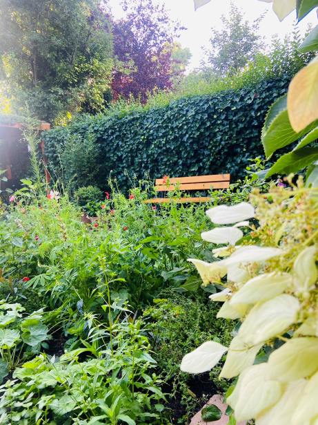 Veel verschillende planten geven de wilderige look die deze bewoners zo graag wilden