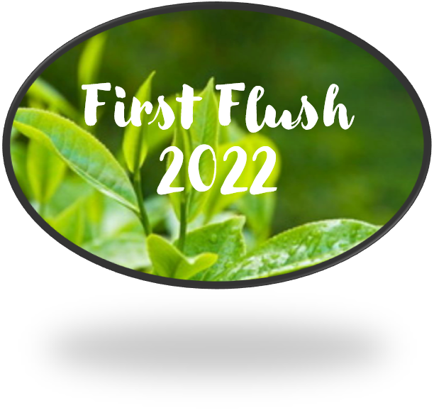 First Flush Darjeeling 2022 SFTGFOP1 Victoria's Peak - UITVERKOCHT