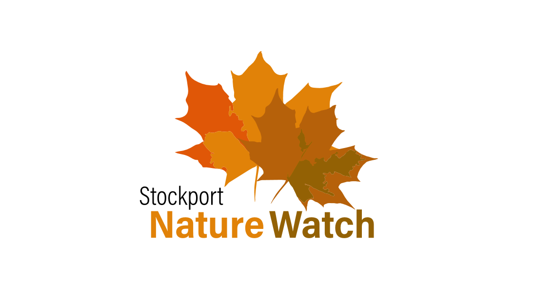 Stockport Nature Watch Welcome to our site