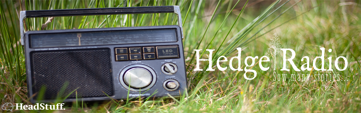 Hedge radio sow many stories