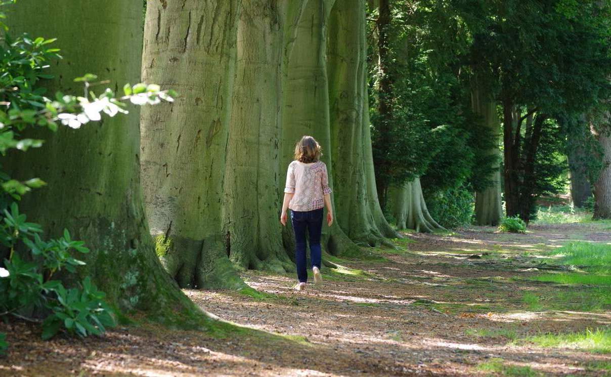 De natuur is heilzaam voor hoogsensitieve mensen