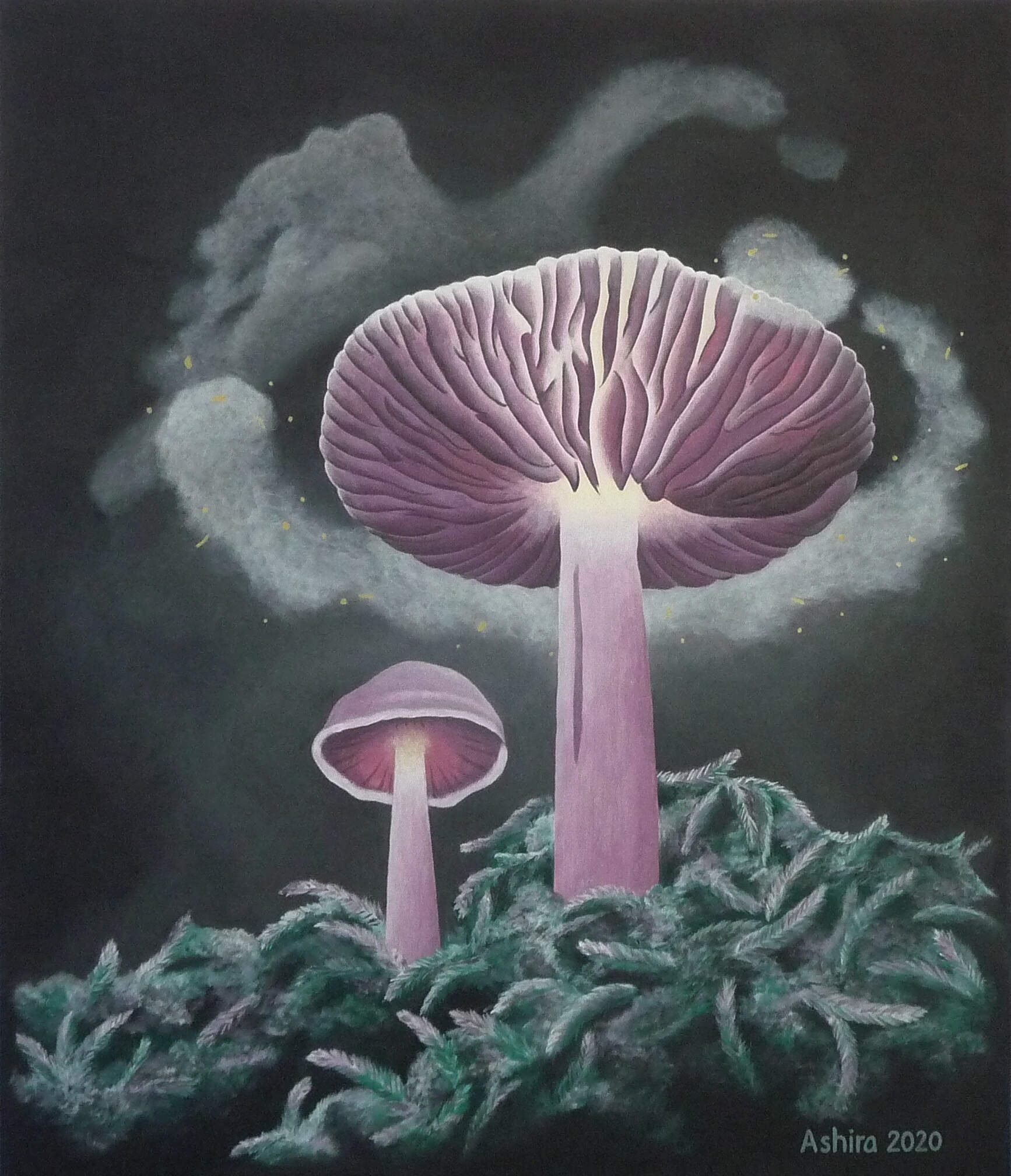 mycena pura / lilac bonnet / gewoon elfenschermpje - july 2020, acrylic on canvas, 60x70 cm