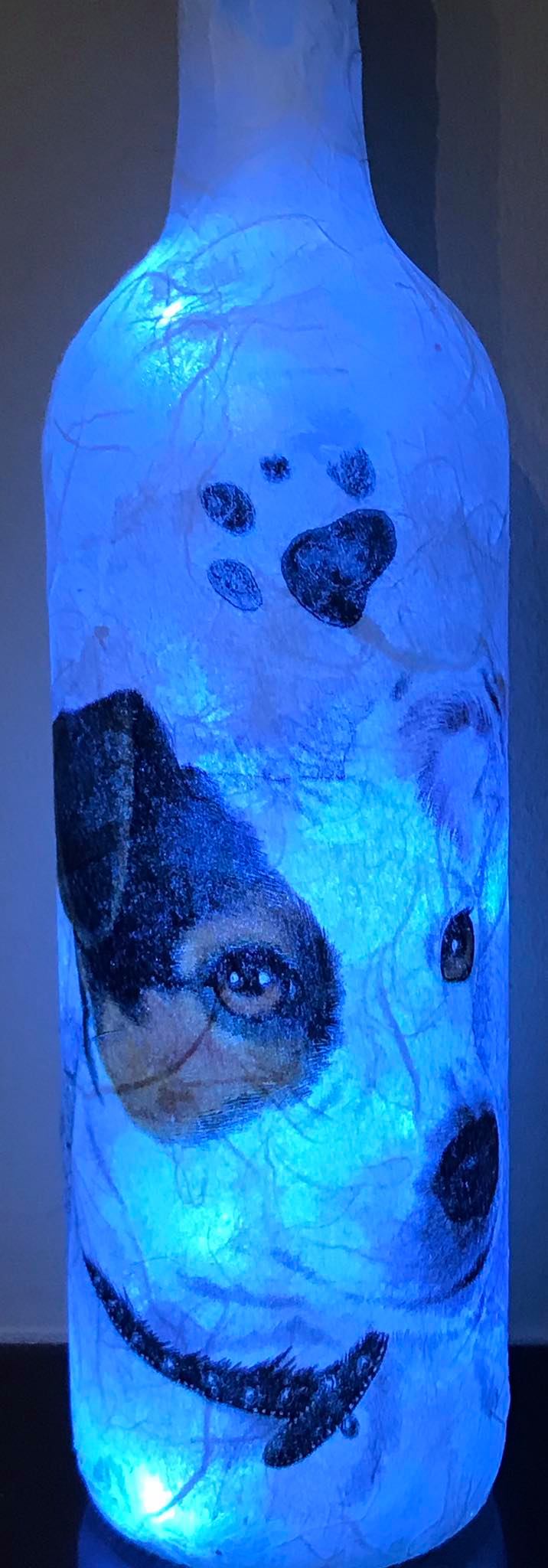 Dog & Paw Prints Light Up Bottle