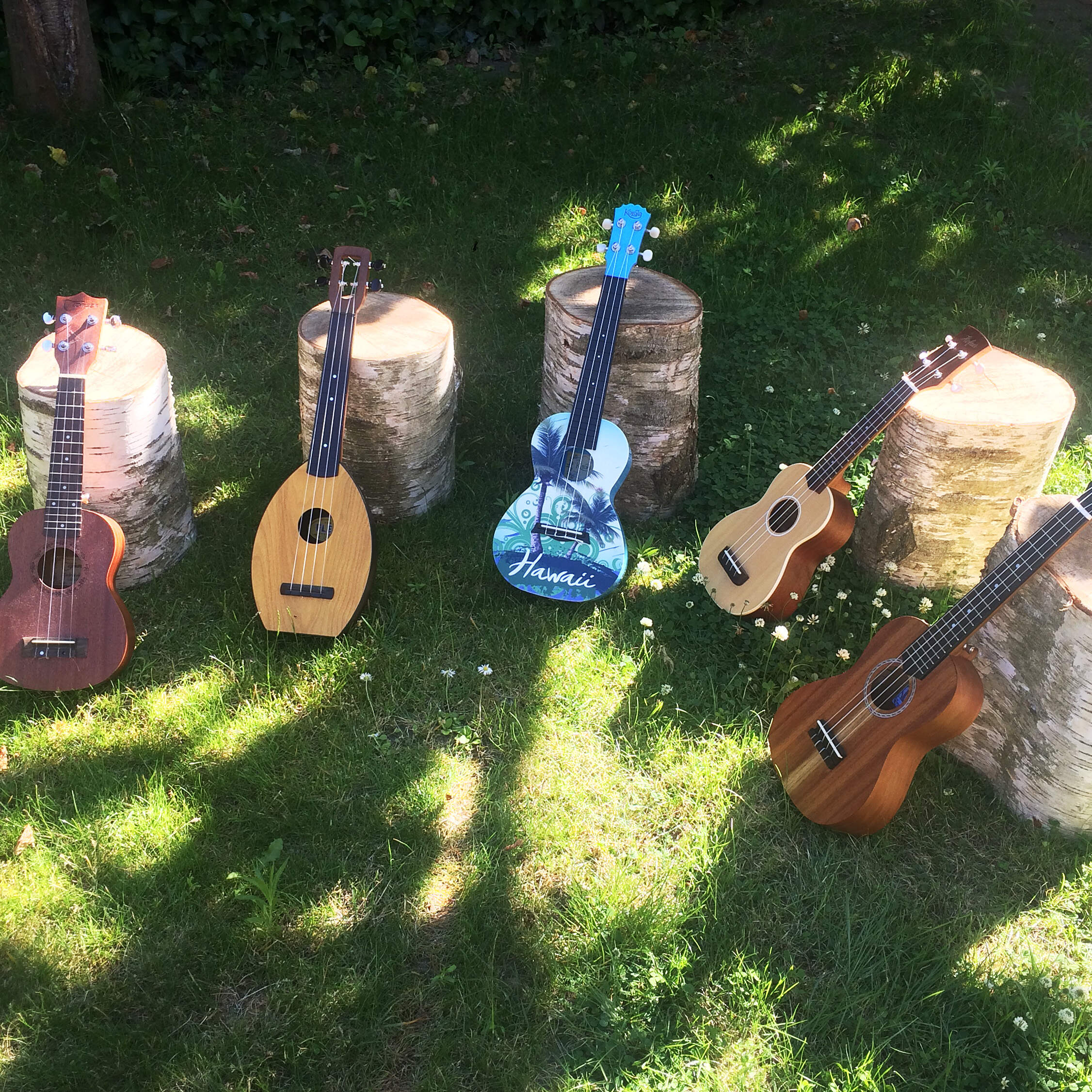 ukulele workshop