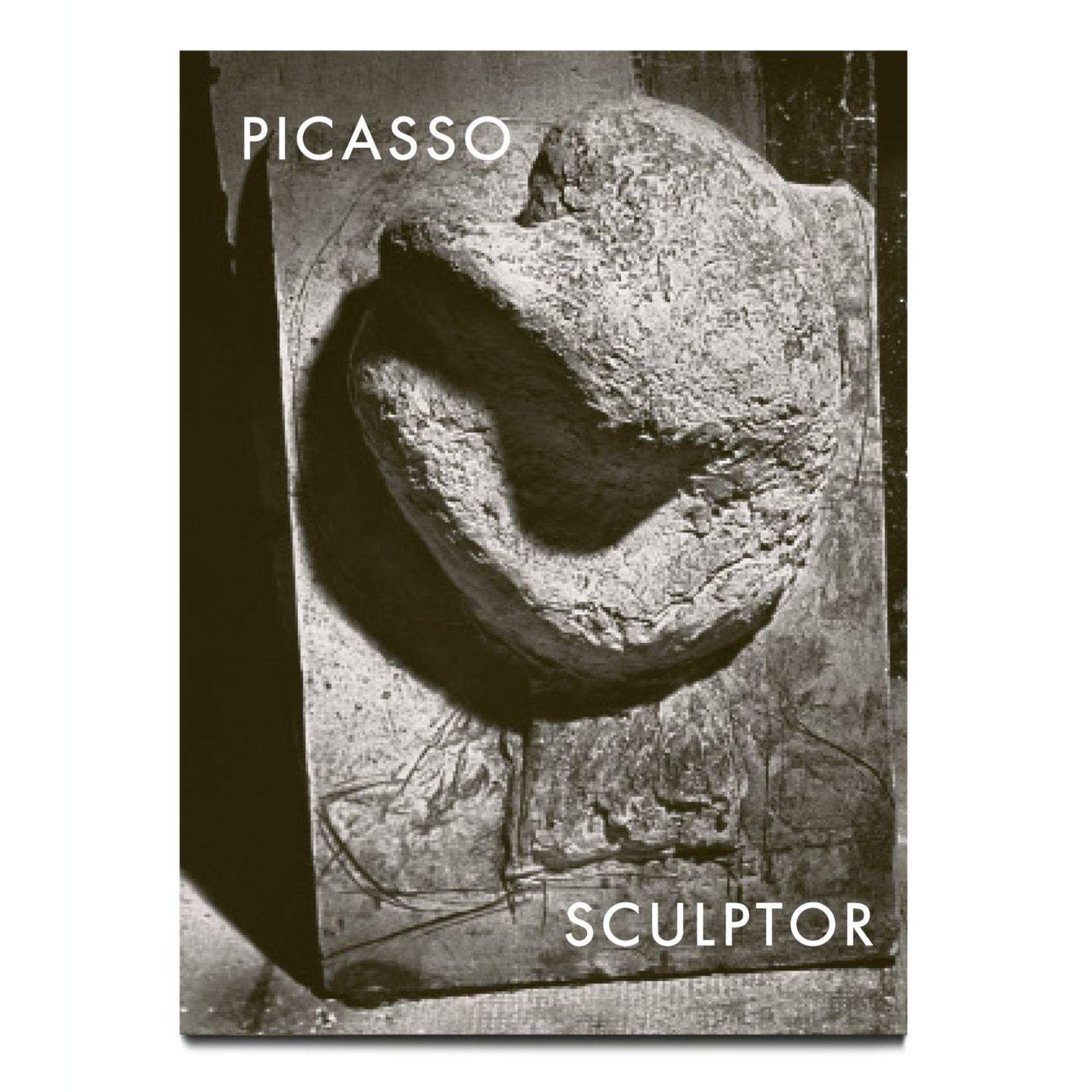 Picasso Beeldhouwer: Toen het genie ontdekte dat canvas niet genoeg was