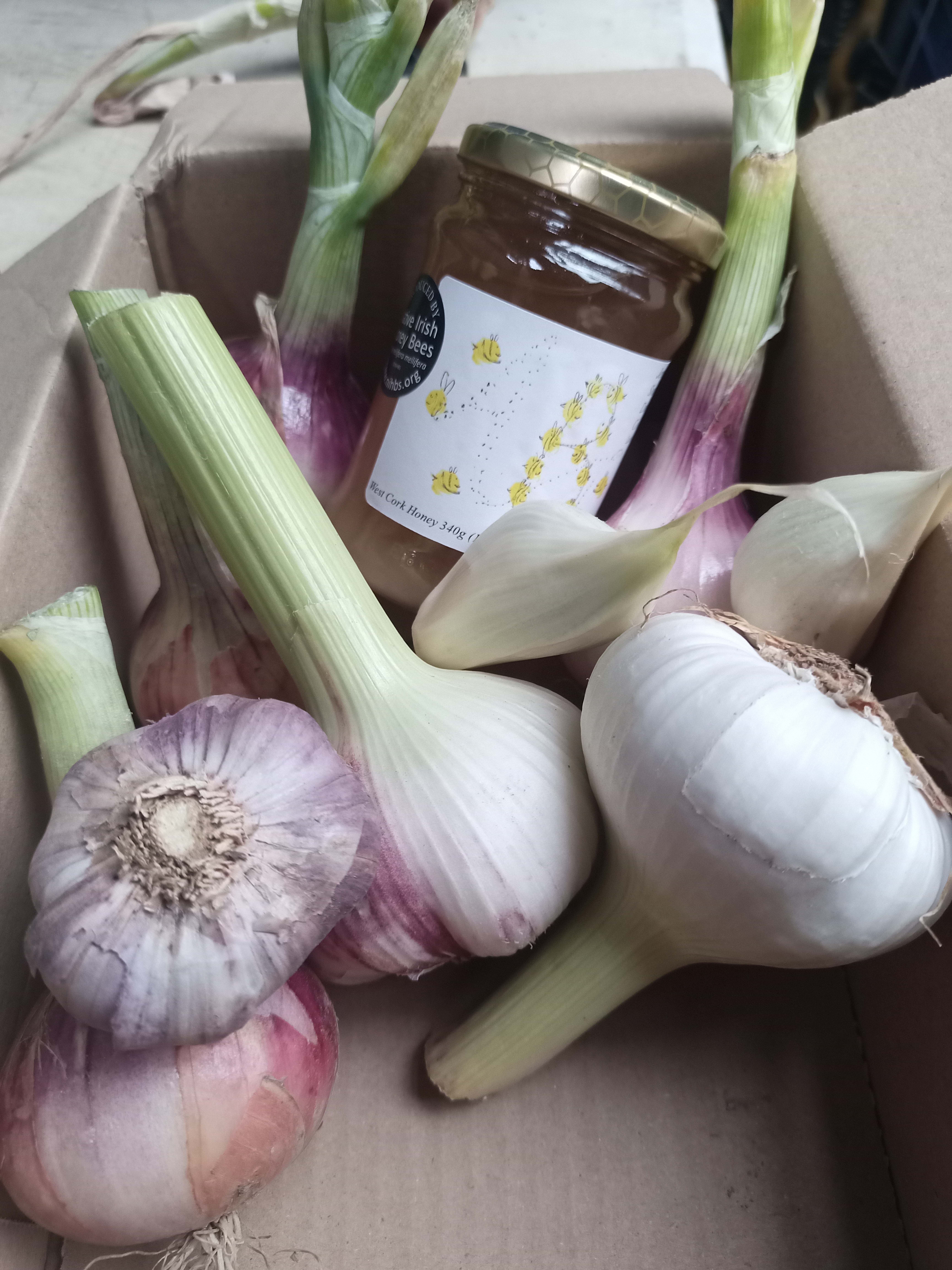 Box of garlic, onions and local honey ...see description for details