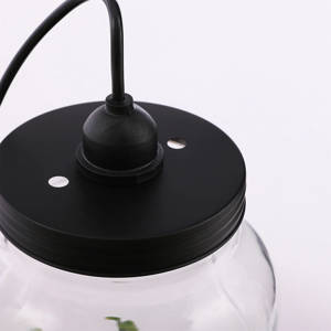 Een stoere lamp/terrarium, deze glazen BEVERAGES pot met zwart dekse, Afgeprijsd van €29,95 voor €20