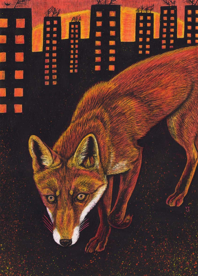 'Urban Fox' A4 print