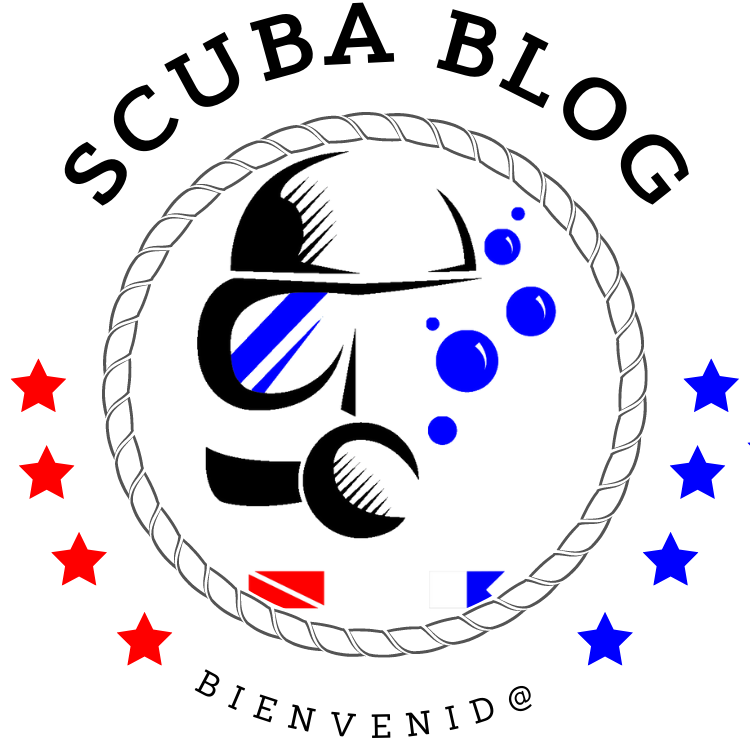 Scuba Blog by Noriega Scuba