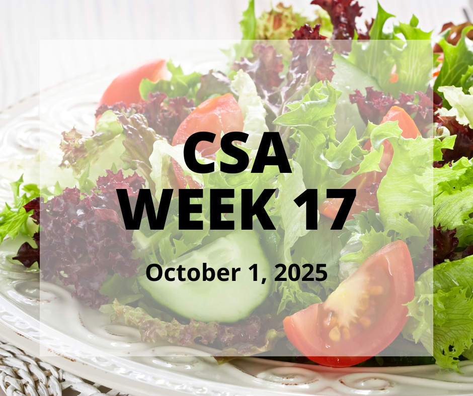 2025 CSA Week 17