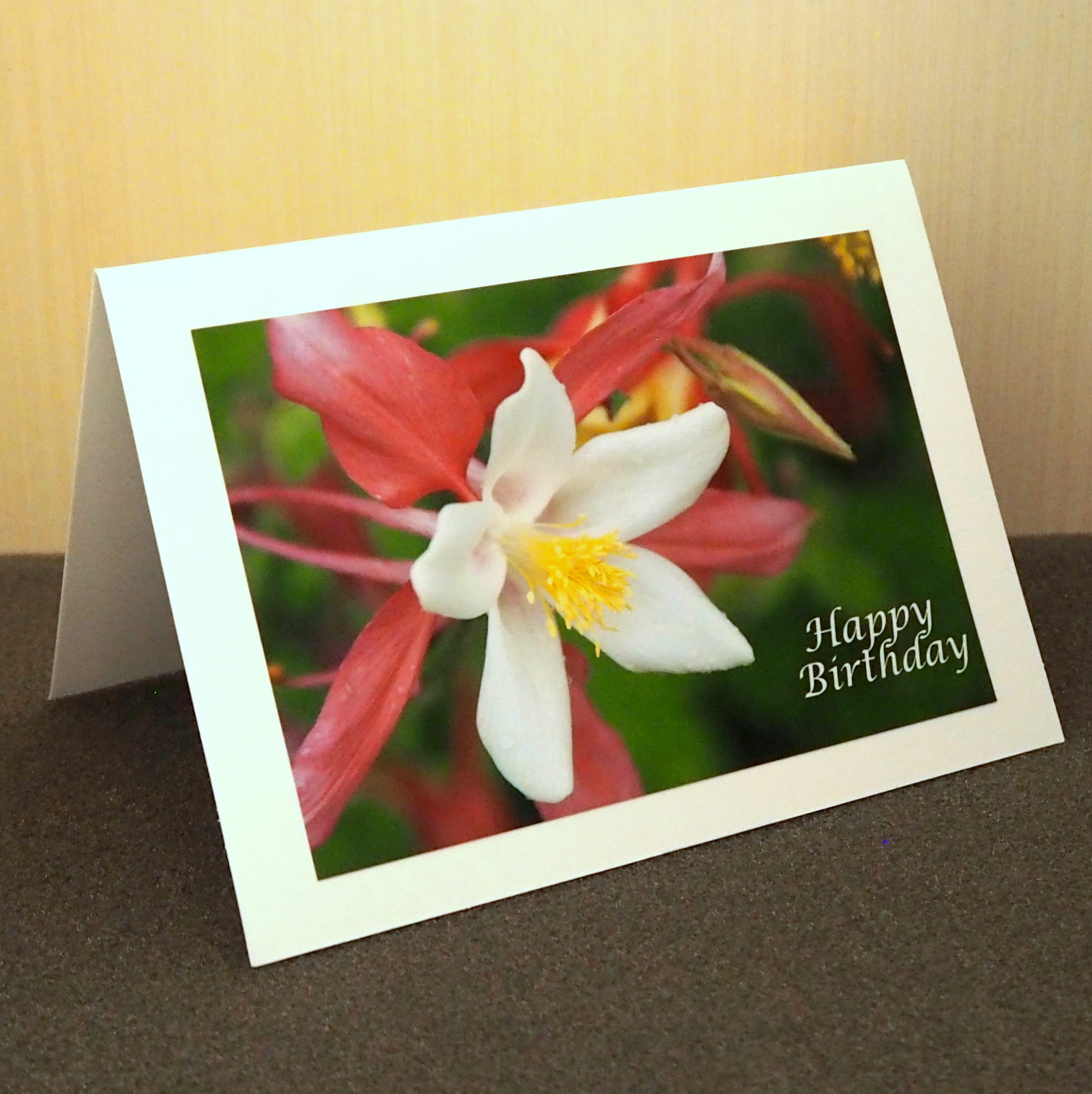 Birthday Greetings Card Collection