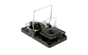 Snap Rat Trap (Pack of 4)