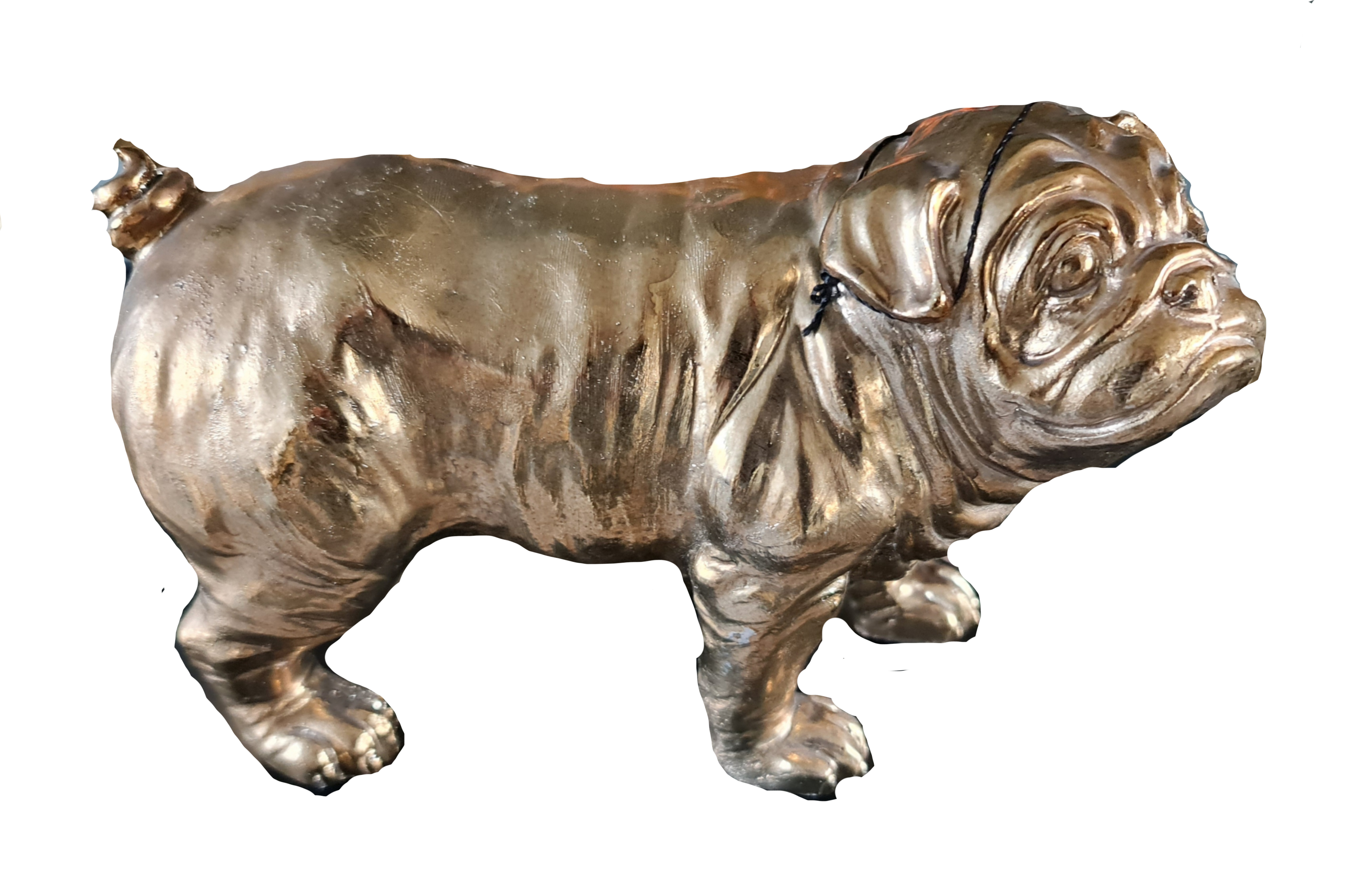 Goudkleurige Bulldog ( decoratie )