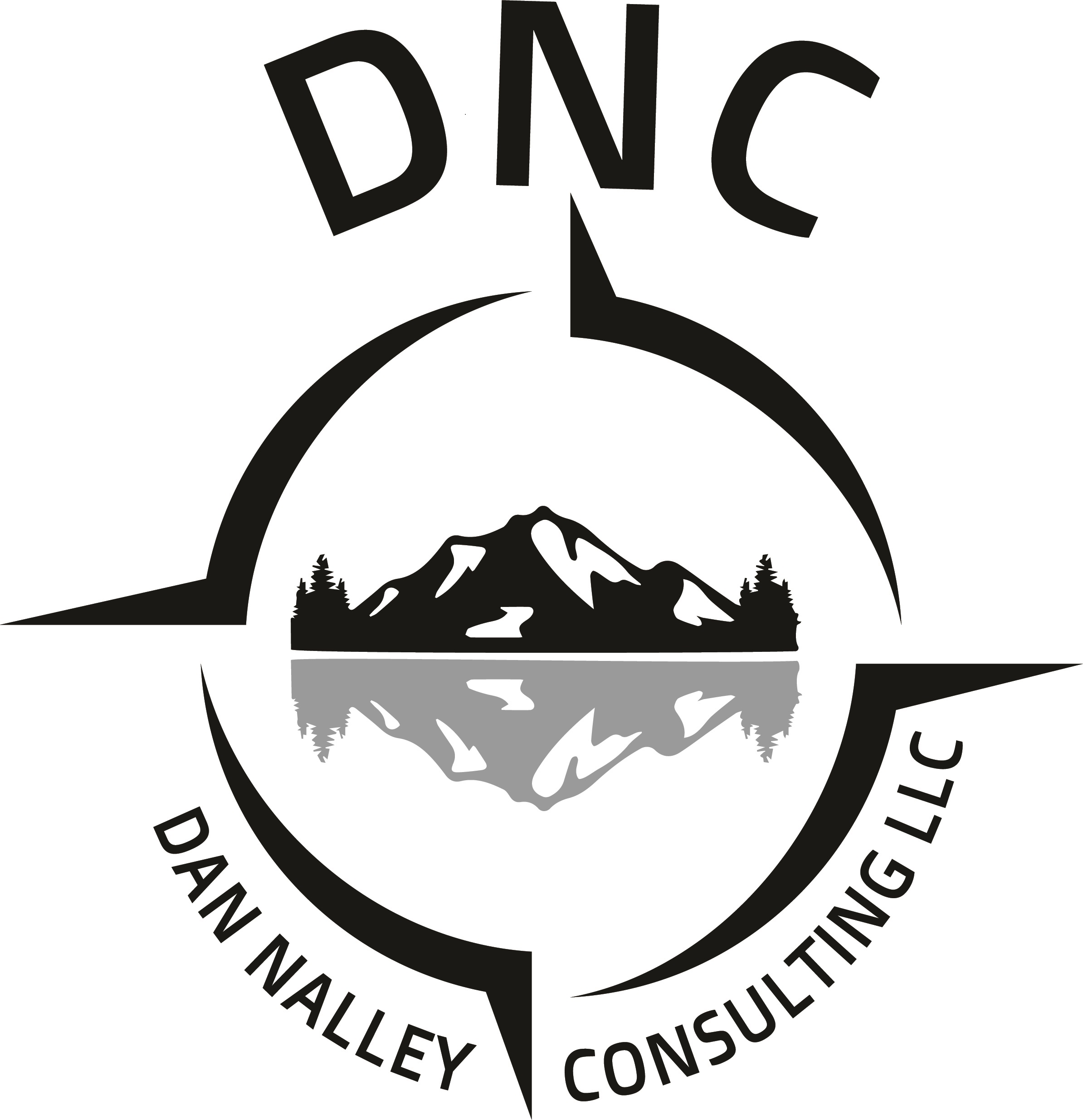 Dan Nalley Consulting, llc