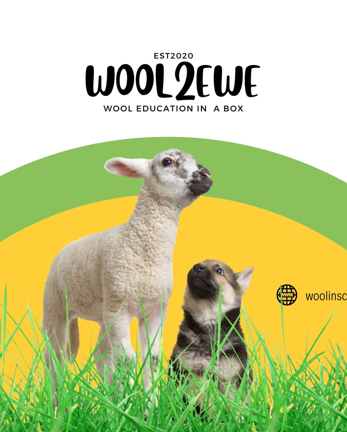 Wool2EWE™ wool education in a box GOLD
