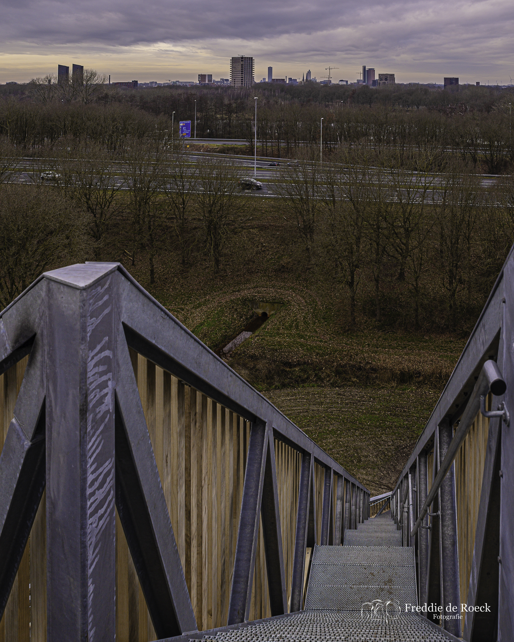 Skyline van Tilburg _ Uitkijktoren De Nieuwe Herdgang _ Foto _  Freddie de Roeck _  261221_5jpg