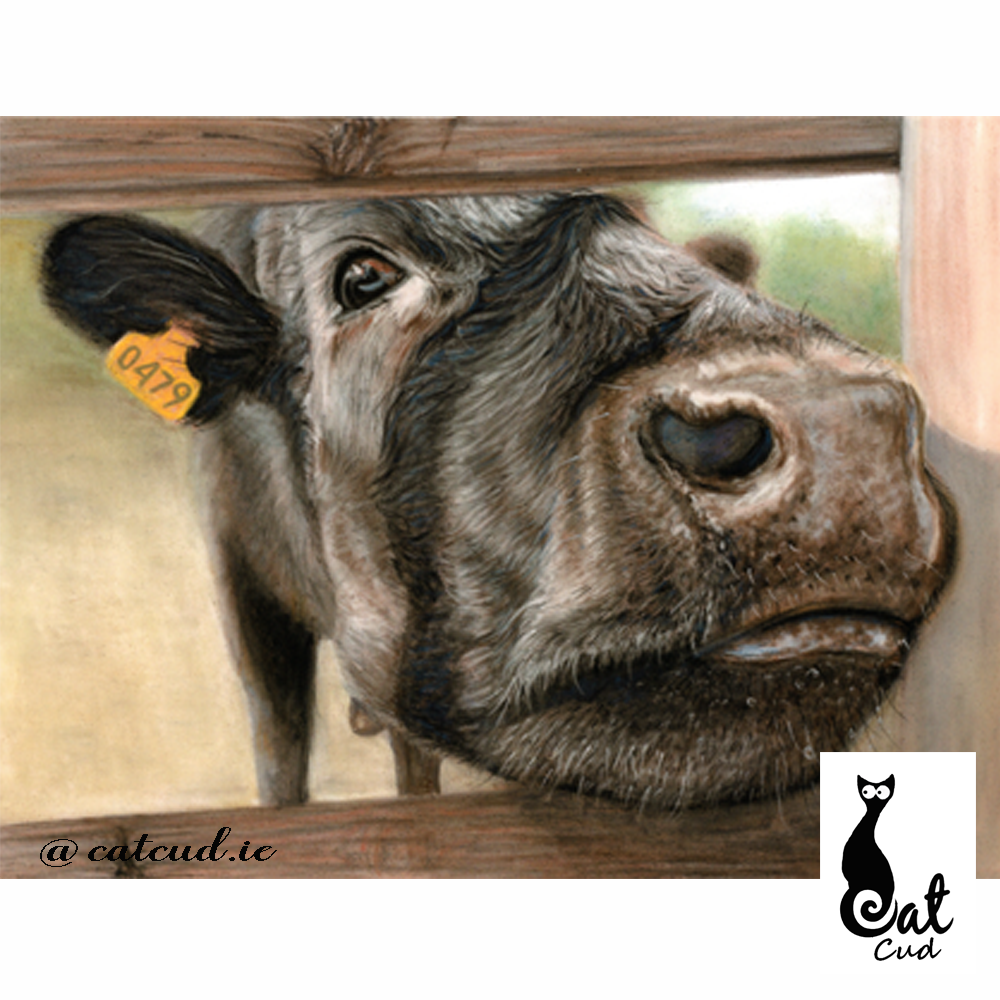 Cow Pastel Painting