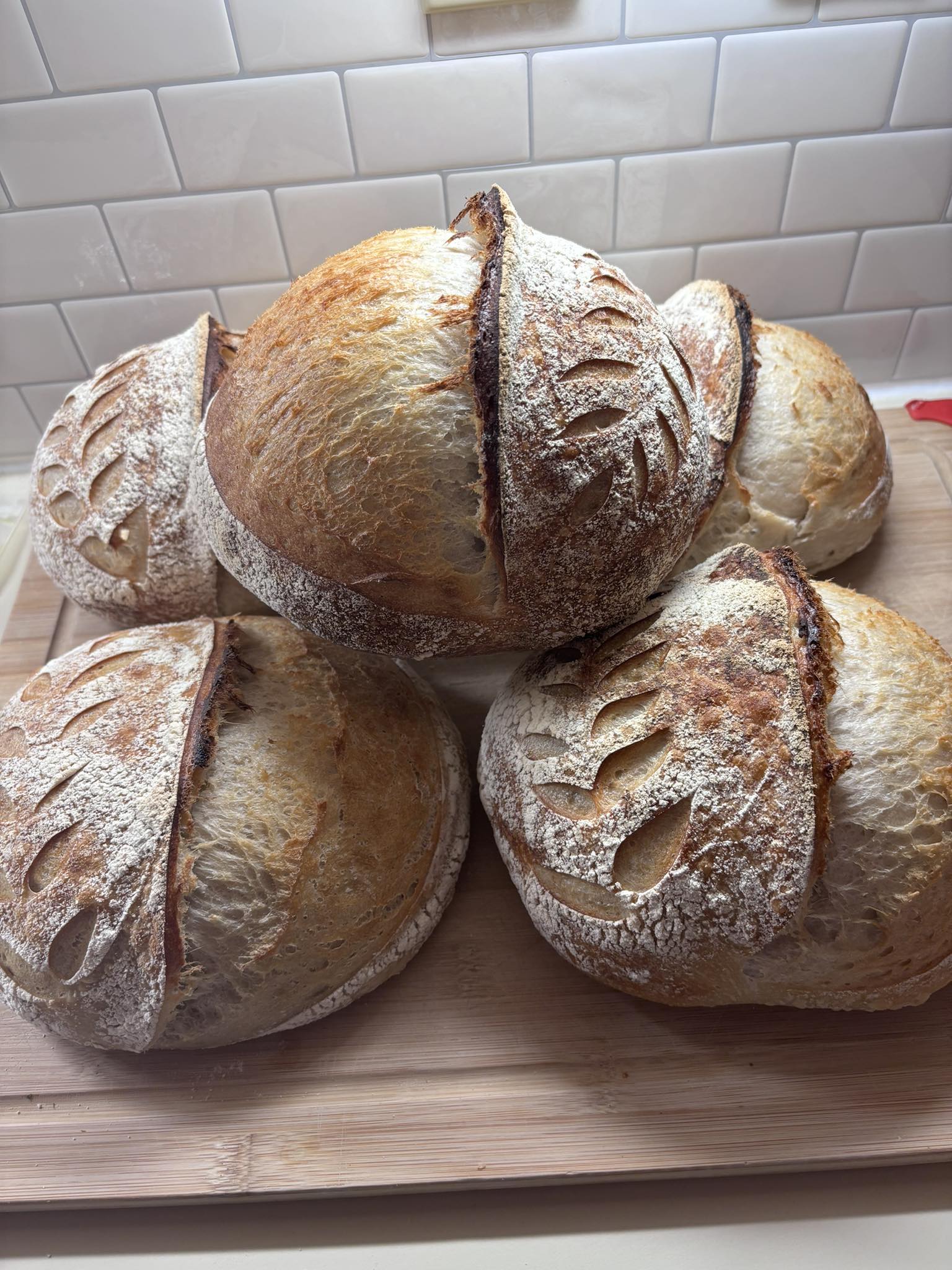 PA Sourdough 24 08 15jpg