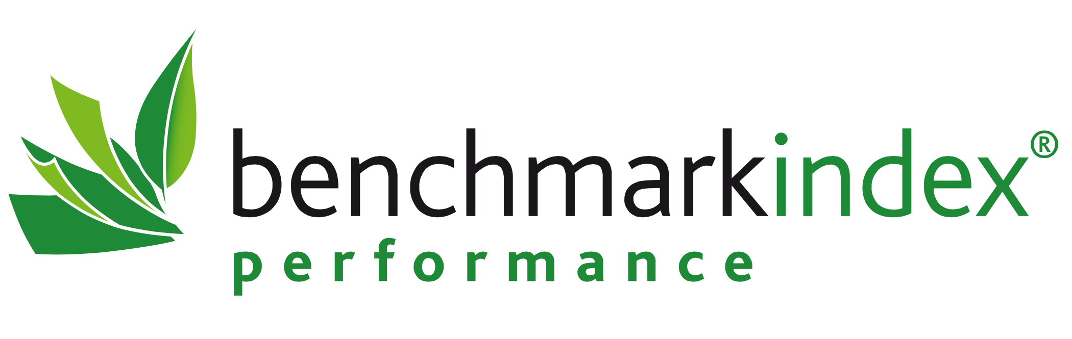 logo-benchmark 2png