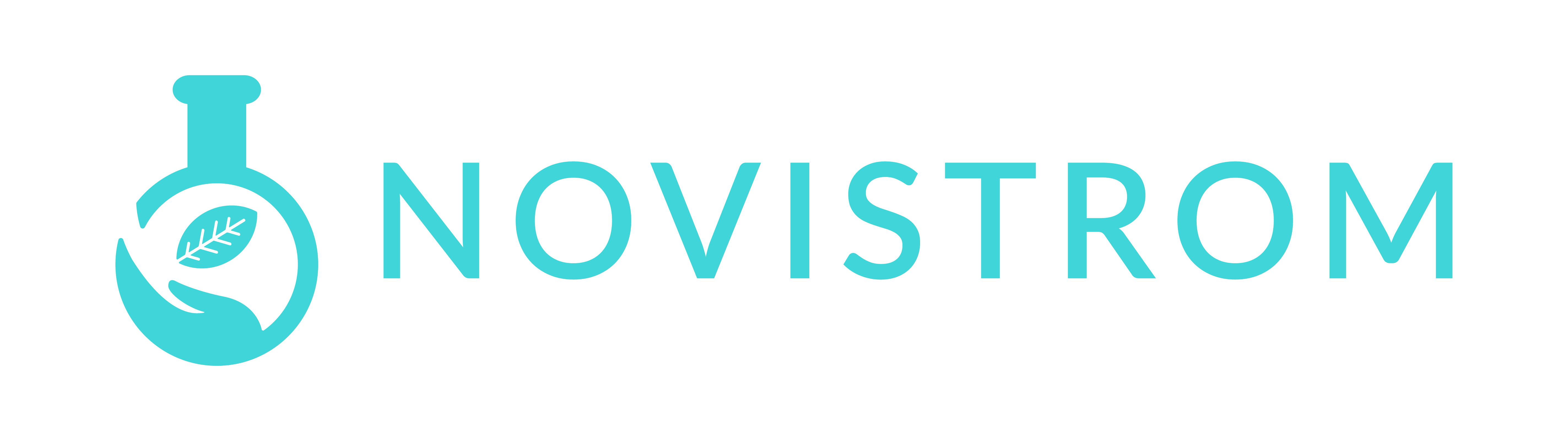 Novistrom Logo in colour