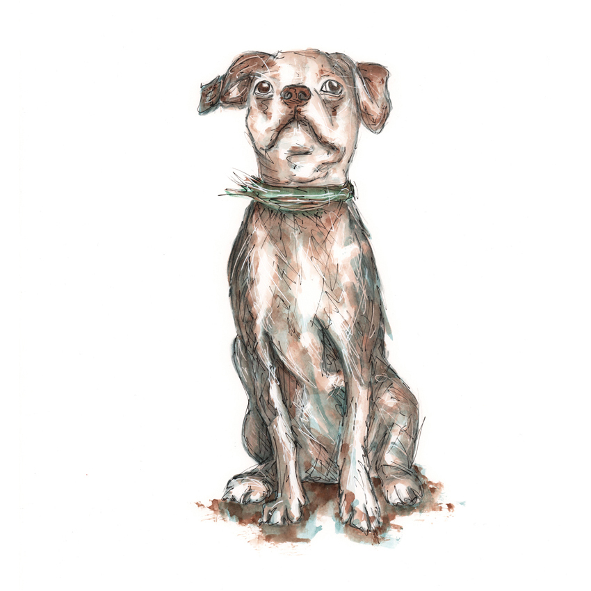 Size A3 Dog Watercolour Pencil & Ink Illustration
