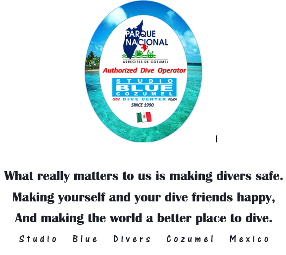 Studio Blue Cozumel Divers