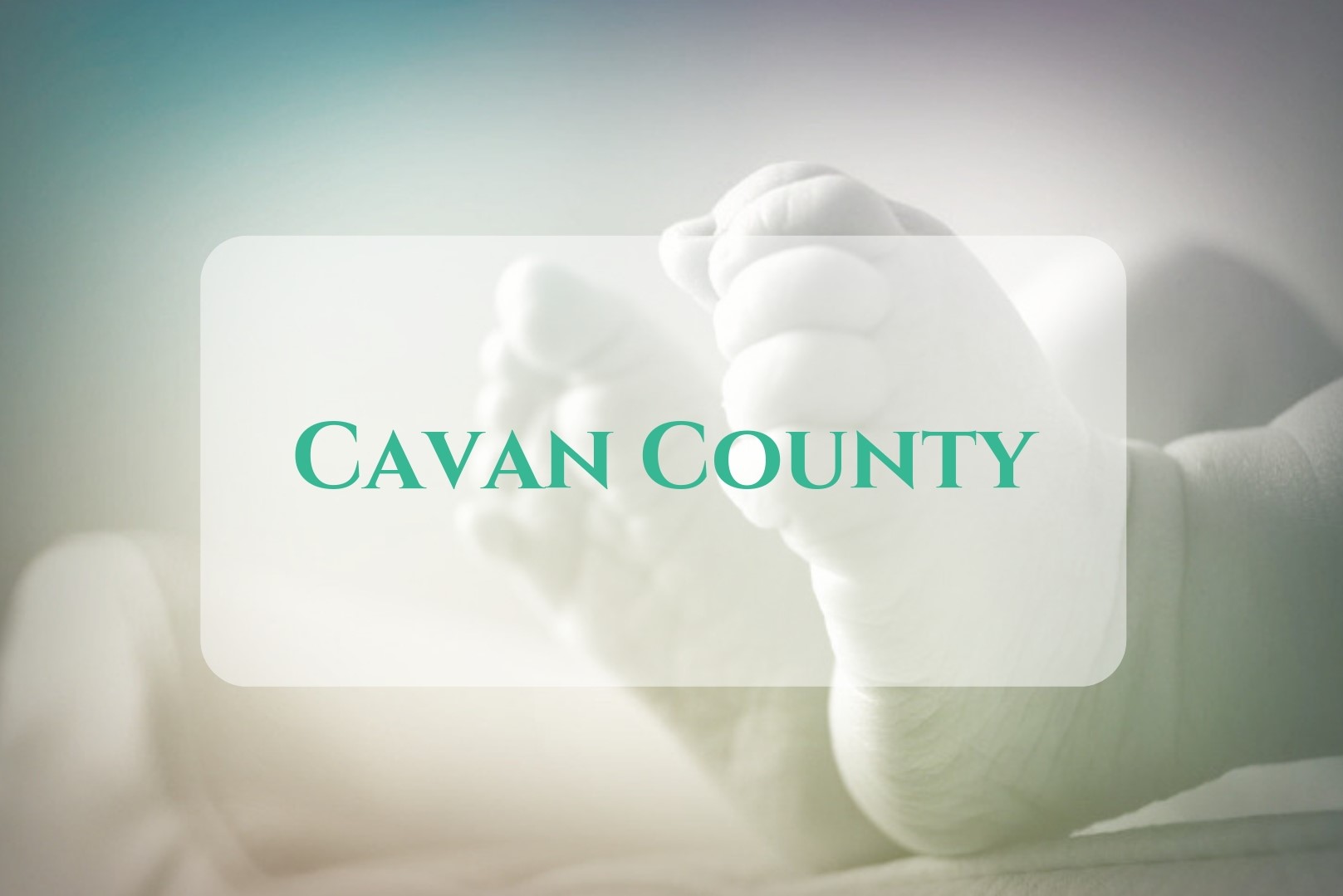 Placenta Collection from Cavan County