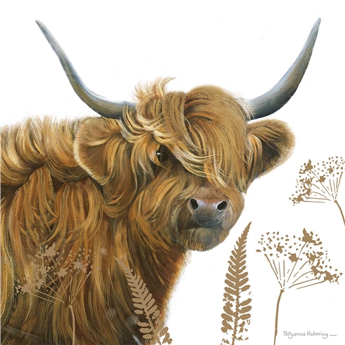 Natuurkaart Highlander Cow + Thee