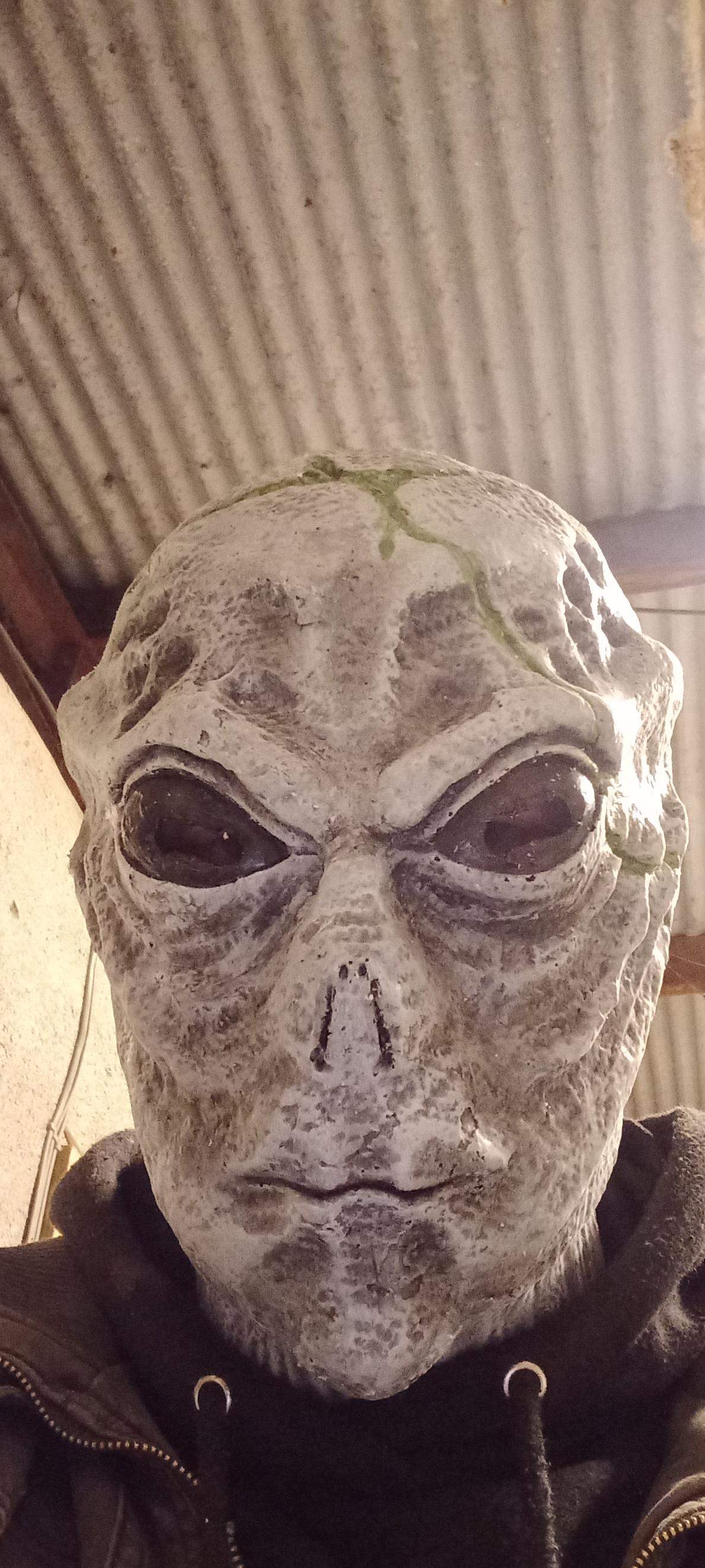 crashed Alien Grey Mask