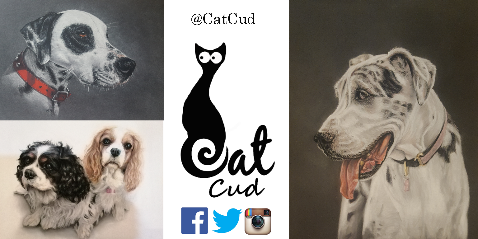 Catcud Pet Portraits