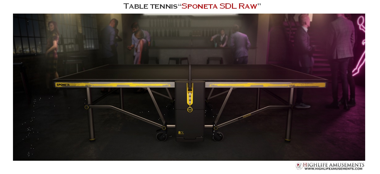 Table Tennis "Sponeta SDL Raw outdoor"