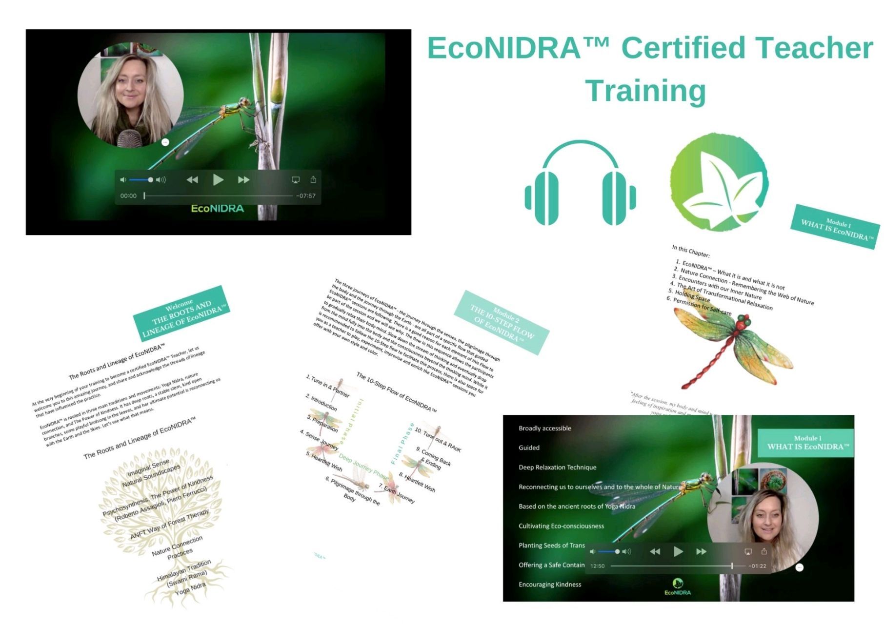 EcoNIDRA™ Teacher Training