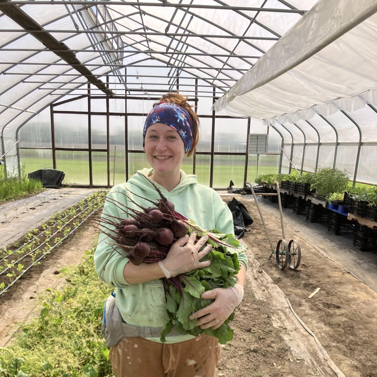 Schrock Family Farms photo 9