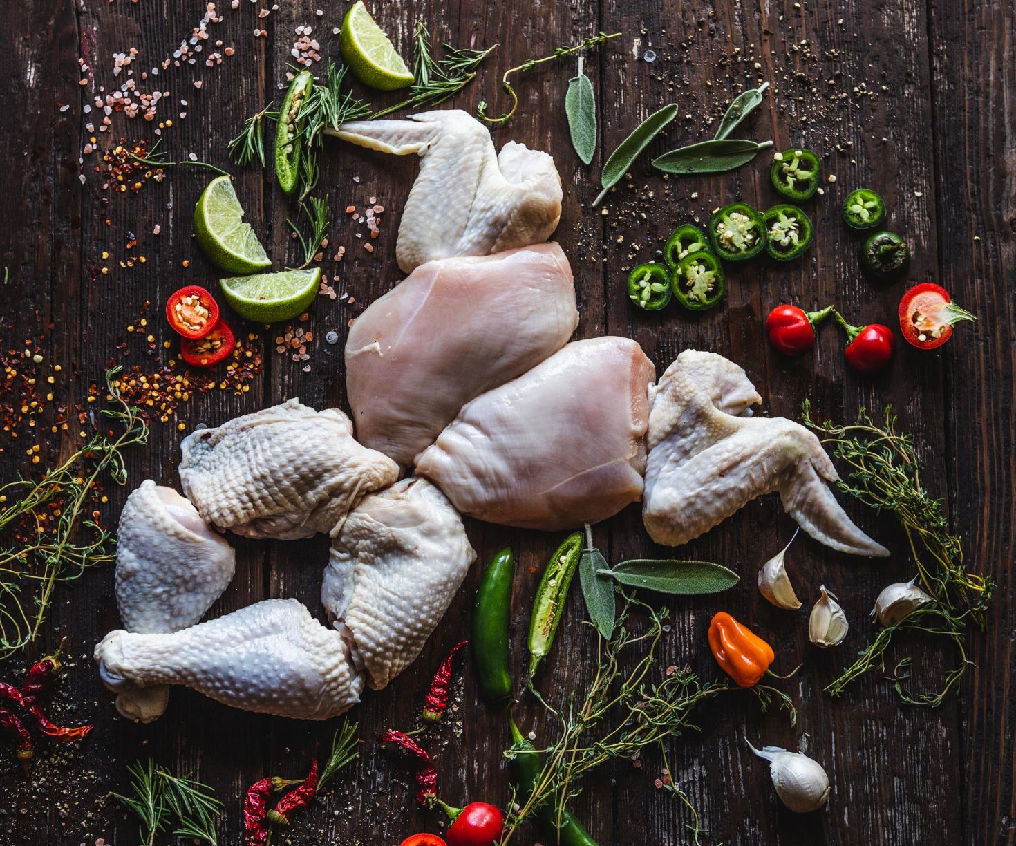 Home Page [truebirdfarm.com]