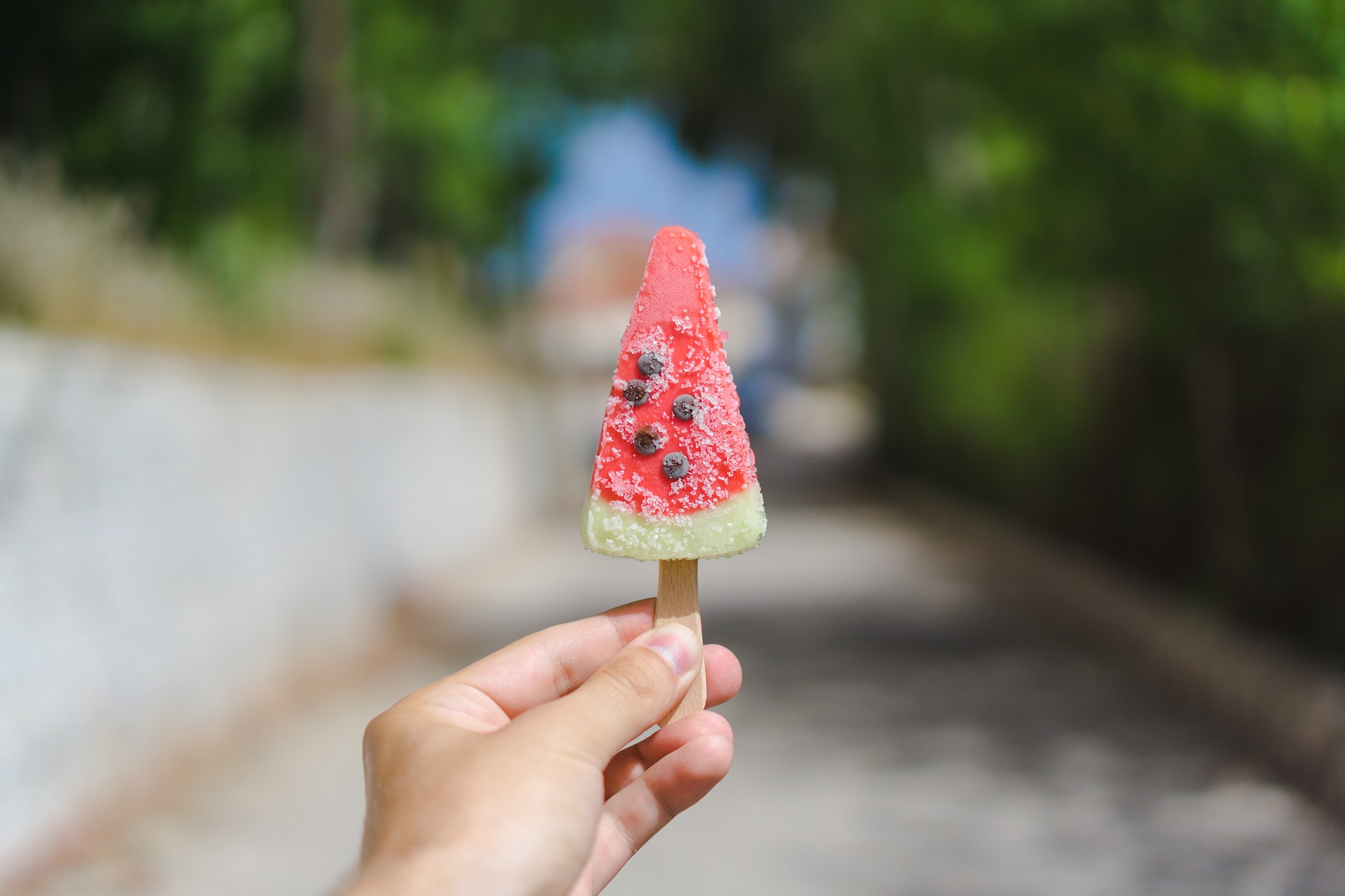 Ga genieten van deze heerlijke watermeloen met blauwe bessen ijsjes!