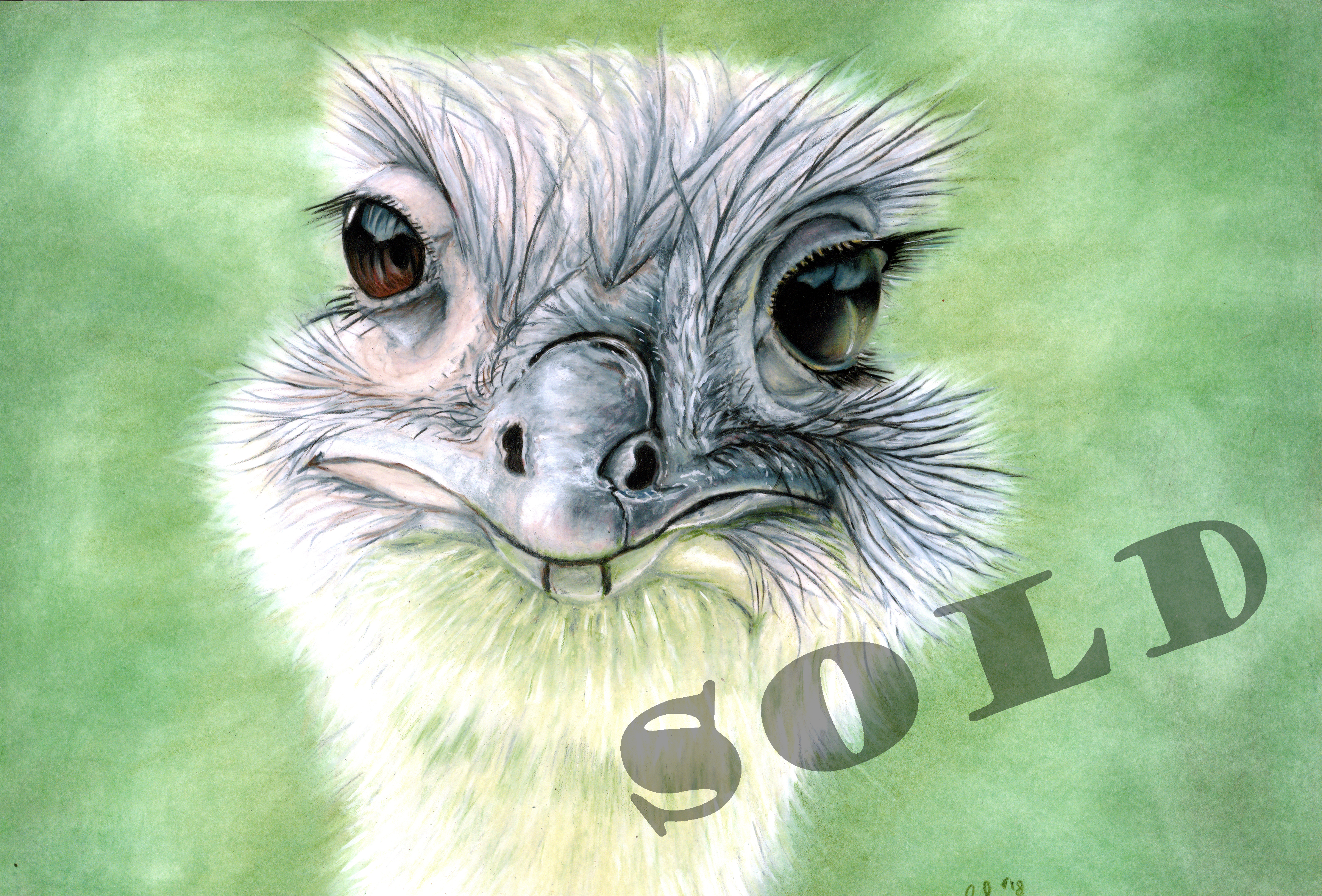 Ostrich Pastel Painting