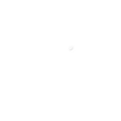 PHOENIX FOODS