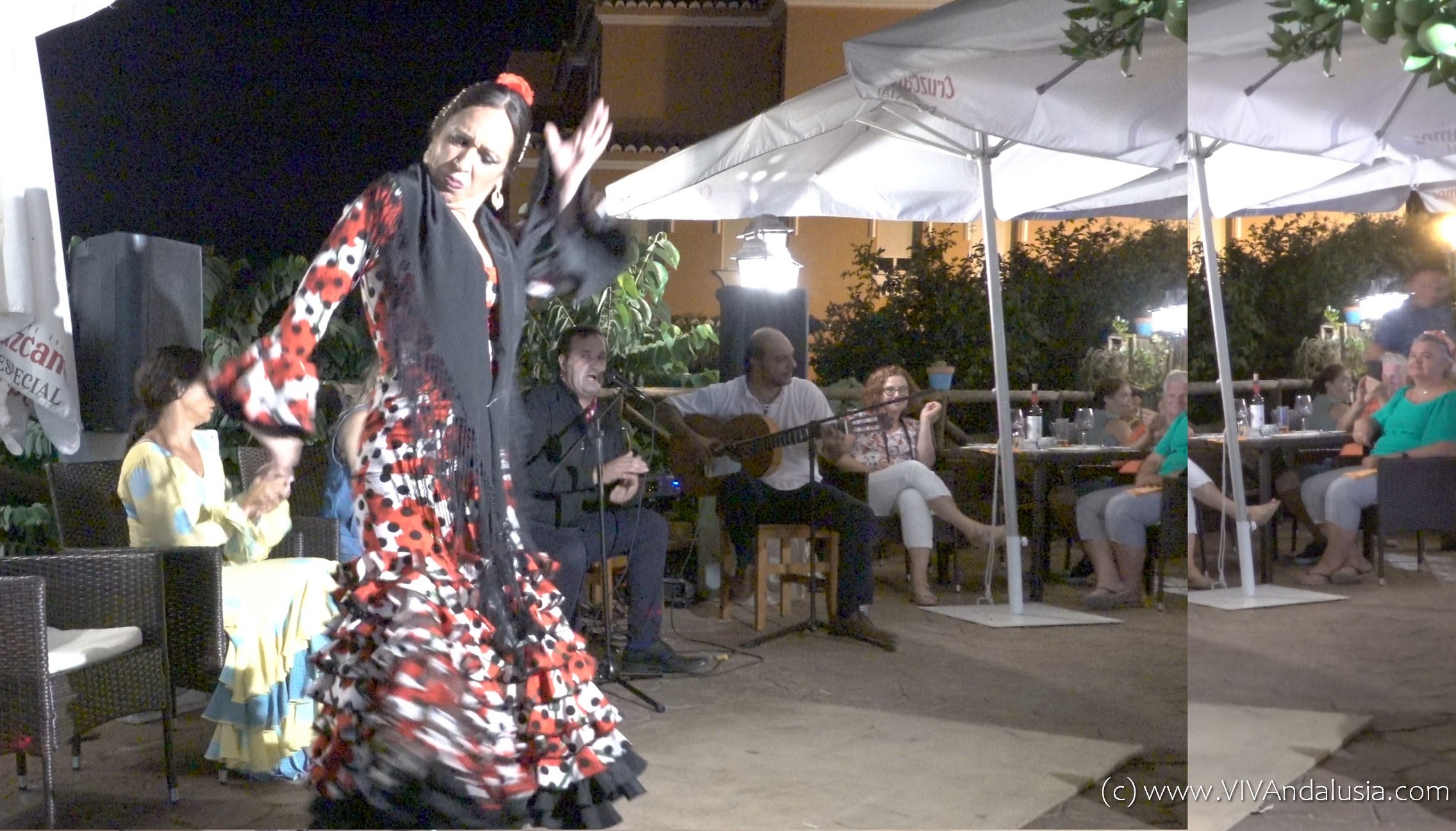 Flamenco - Alcaucin